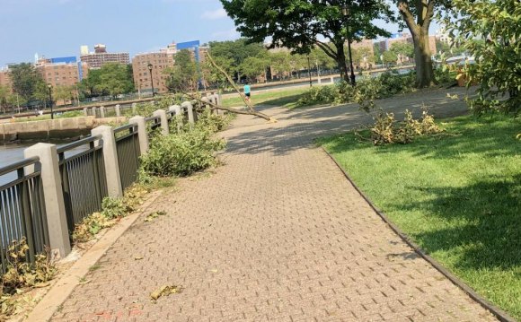 Today, RIOC Reopens Parks They Never Closed Untended debris along the seawall failed to reduce visitors in the "closed" park.